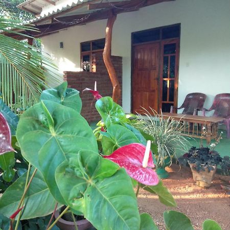 Amaya River Side Homestay 시기리야 외부 사진