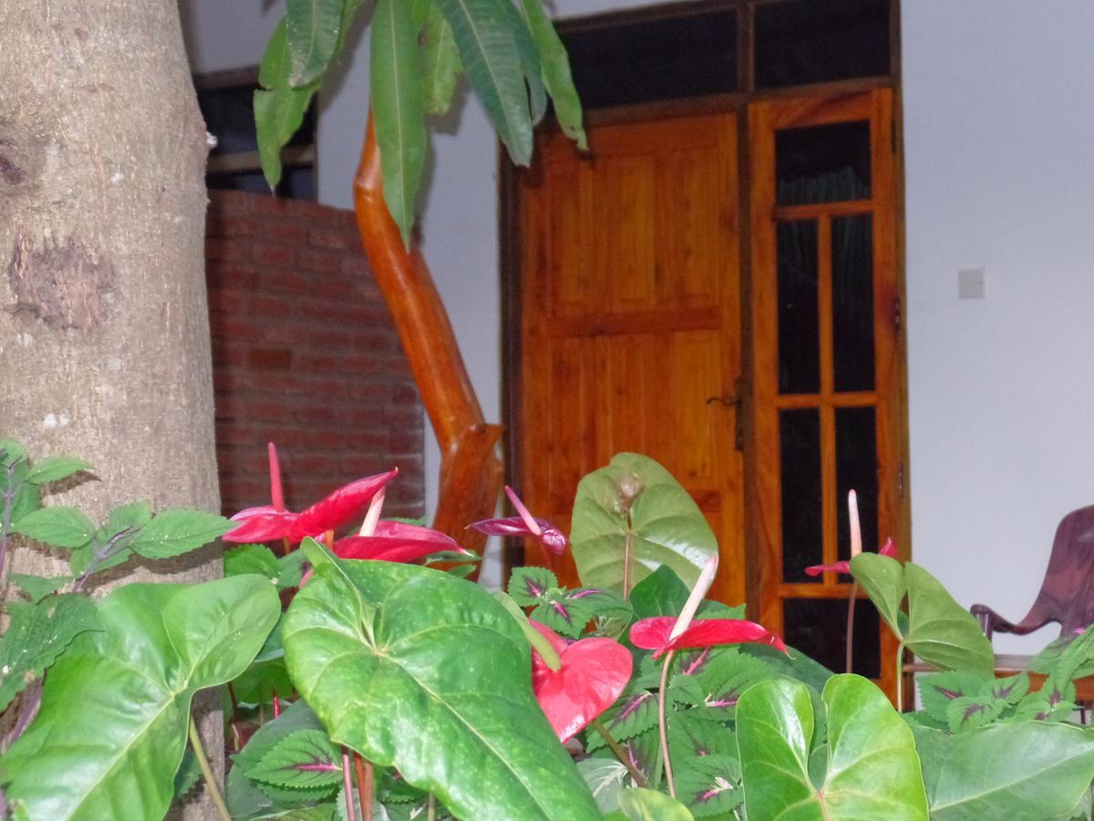 Amaya River Side Homestay 시기리야 외부 사진