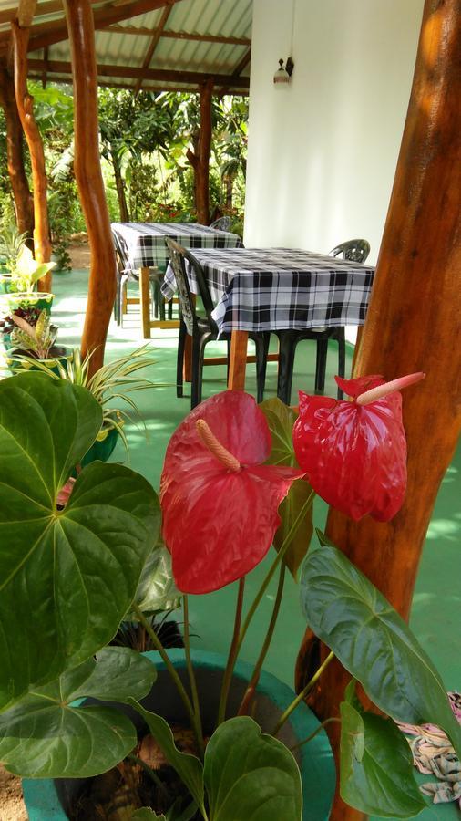 Amaya River Side Homestay 시기리야 외부 사진