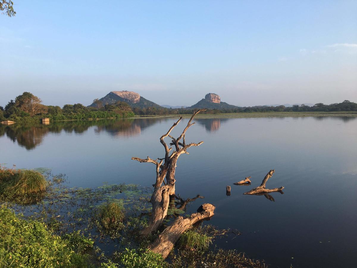 Amaya River Side Homestay 시기리야 외부 사진