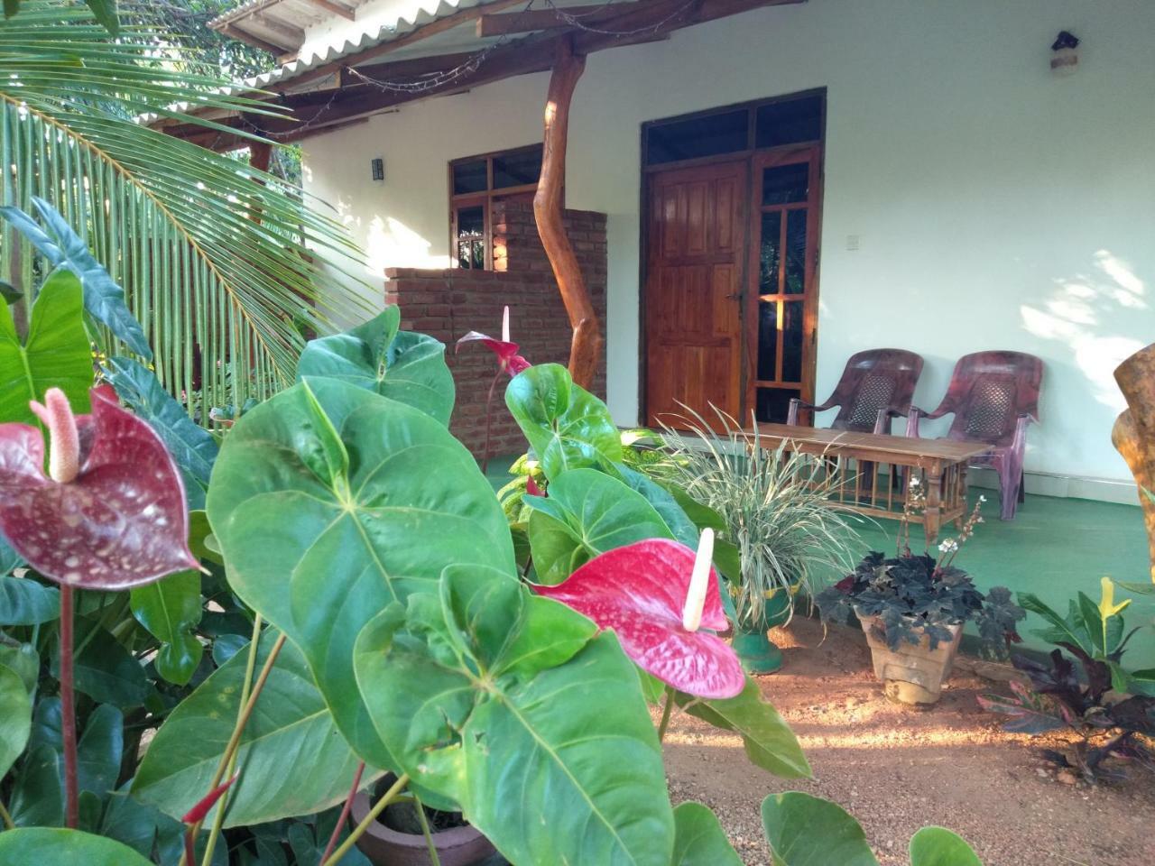 Amaya River Side Homestay 시기리야 외부 사진